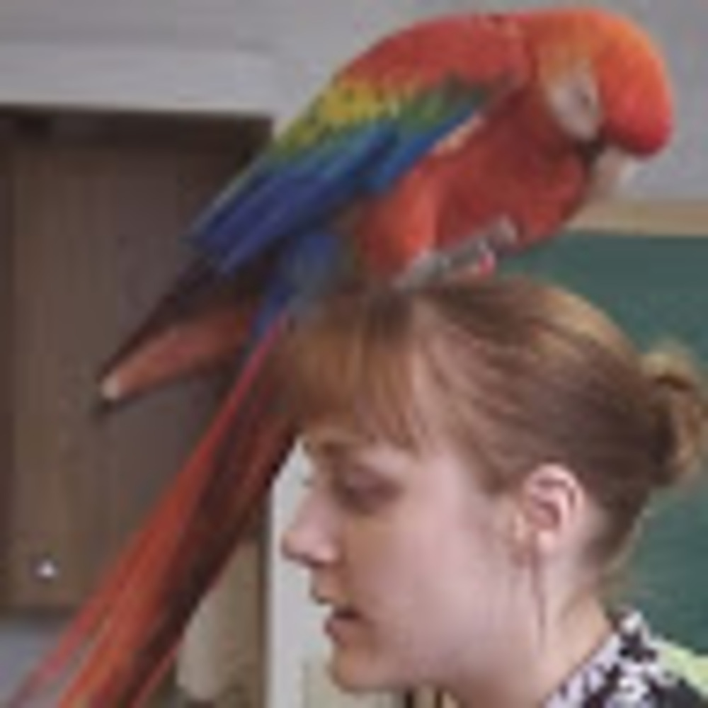 Meet your Posher, Cory